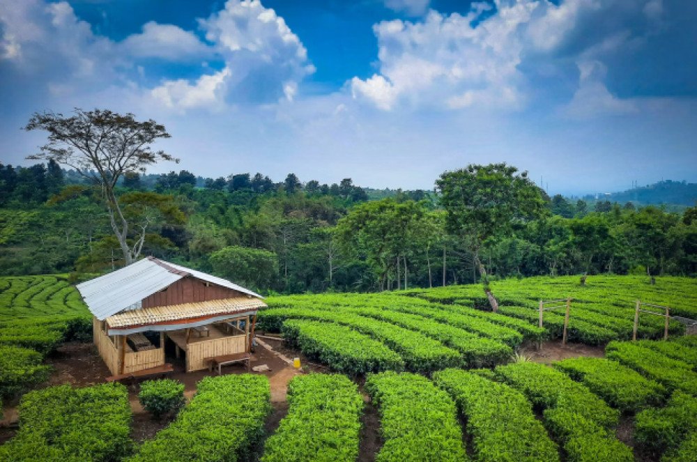 7 Rekomendasi Wisata Batu Hits Viral, Cocok untuk Keluarga!